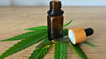 CBD Oil Vs. Hempseed Oil: What’s The Difference?