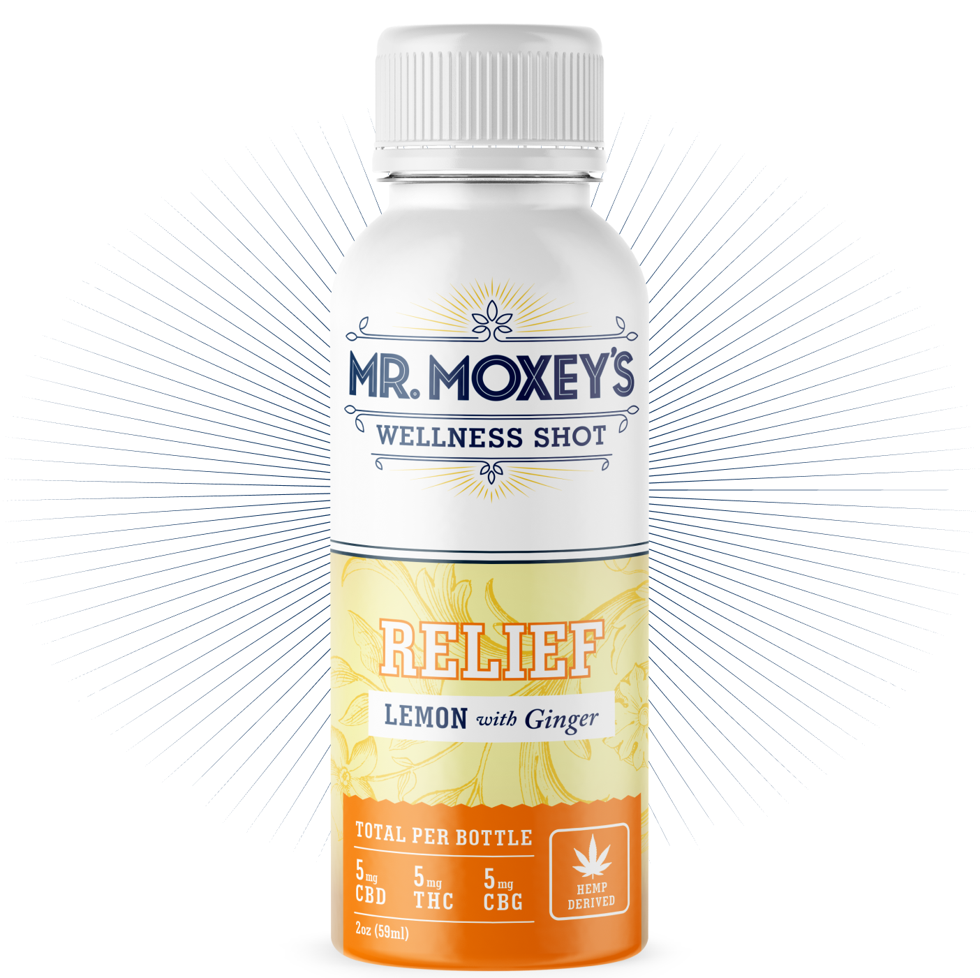 Anxiety Shot | Relief Lemon Ginger (6 pack) | Mr. Moxey's