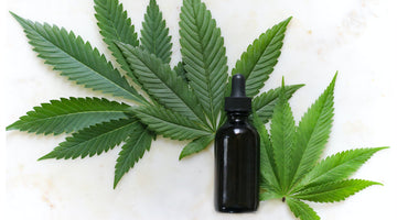 Top 5 CBD Oil Myths, Debunked