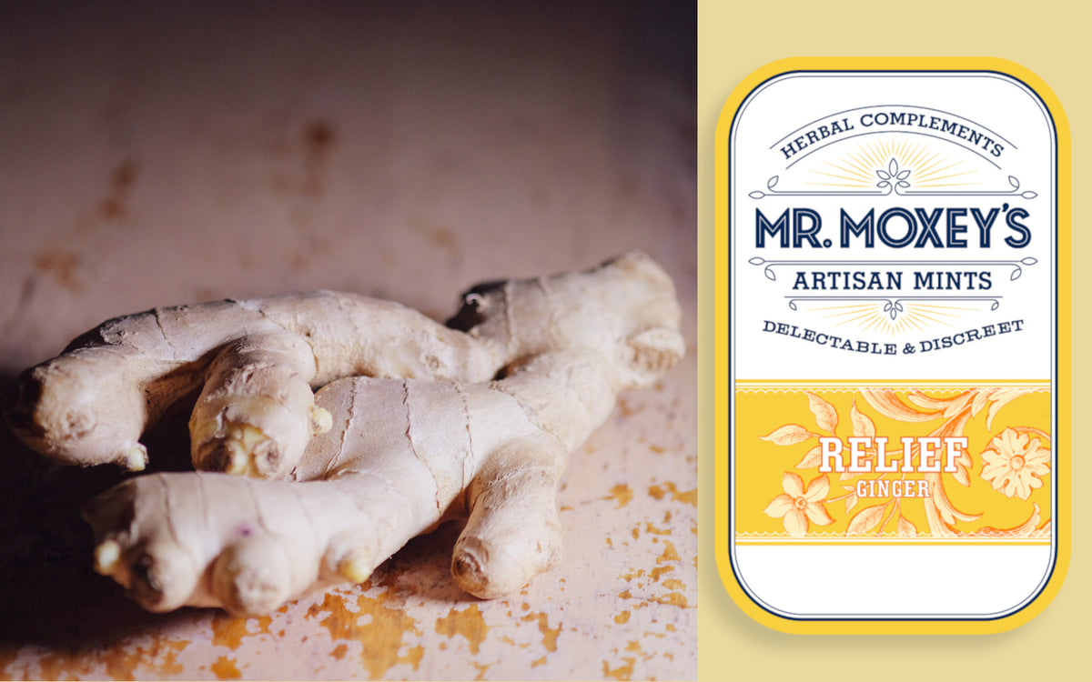 Isn’t It Sweet The Herbal Allies of Ginger Relief Mints Mr. Moxey's