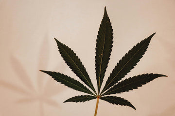 sublingual thc not working