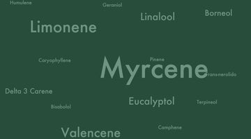 Let's Talk Terpenes