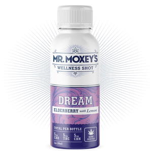 Dream Bundle