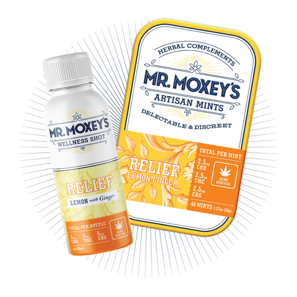 MMProductMockupsMint_ShotBundl